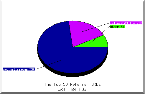 Referrer chart